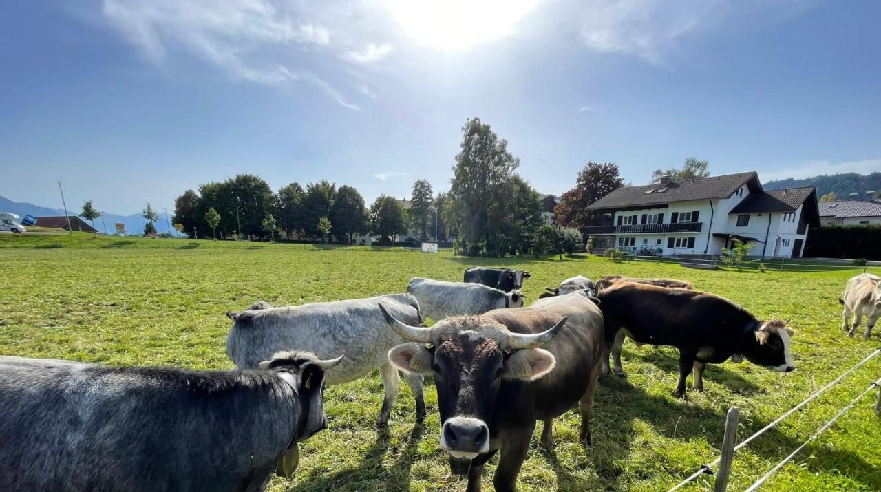 Ferienwohnung Familie Zint Sonthofen Buitenkant foto